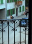 Old woman walking