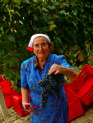 Woman holding Grape Cluster